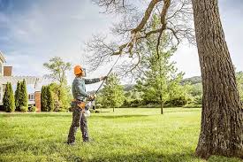  Waverly, NE Tree Care Services Pros